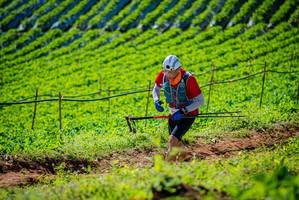 BIB: 
                            <button type="button" onclick="openModal(19161529)" class="btn btn-primary btn-sm float-right btn-popup" data-toggle="modal" data-target=".modal-high-quality">
                        <i class="fas fa-shopping-cart"></i> Add to Cart
                    </button>
                                            <button type="button" onclick="isThisMe(19161529, true)" class="btn btn-success btn-sm float-right btn-popup btn-isme hidden" data-toggle="tooltip" data-placement="bottom" title="นี่คือรูปของคุณใช่ไหม คลิกที่นี่เพื่อเอาเข้าอัลบั้ม">
                        <i class="fas fa-plus"></i> Add to album
                    </button>
                    <button type="button" onclick="isThisMe(19161529, false)" class="btn btn-warning btn-sm float-right btn-popup btn-isnotme hidden">
                        <i class="fas fa-ban"></i> Remove from album
                    </button>